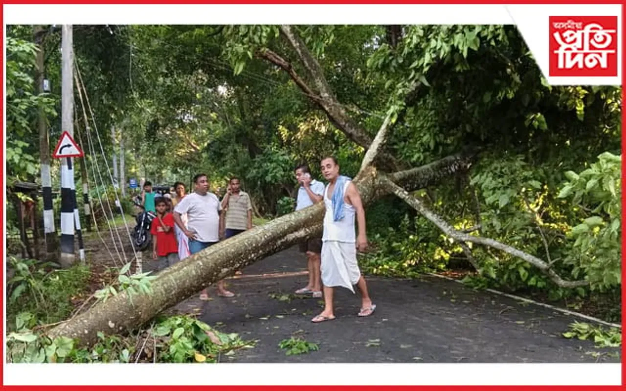 নগাঁৱৰ দক্ষিণপাট বৰজহাত ধুমুহাৰ তাণ্ডৱ: গছ বাগৰি যাতায়ত ব্যাহত... 